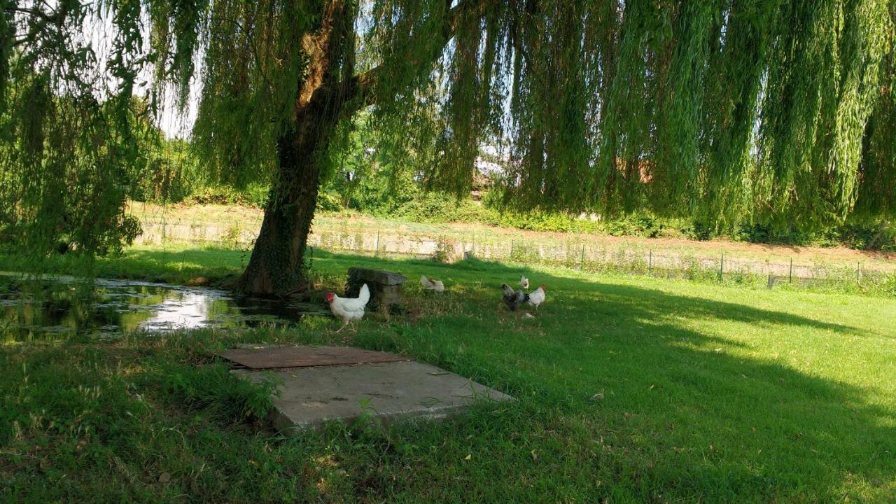 Agriturismo Cascina Poscallone 아비아테그라소 외부 사진